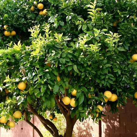Lemon Tree Hotel Seget Donji Ngoại thất bức ảnh