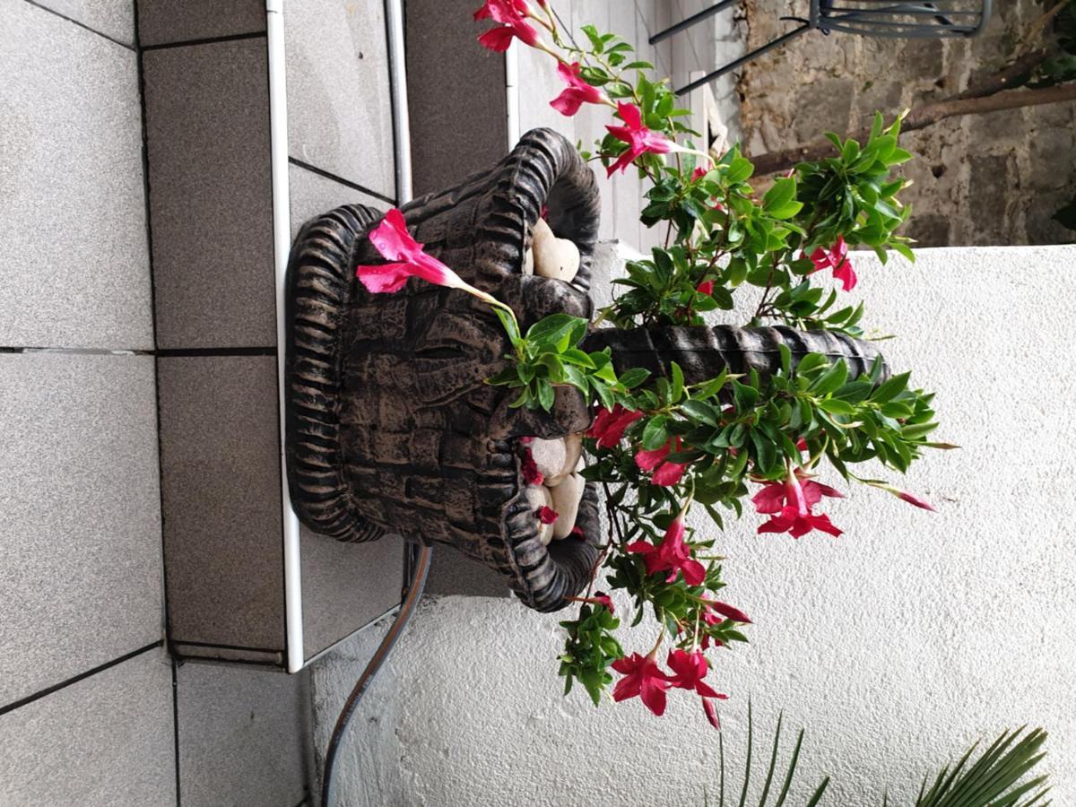Lemon Tree Hotel Seget Donji Ngoại thất bức ảnh